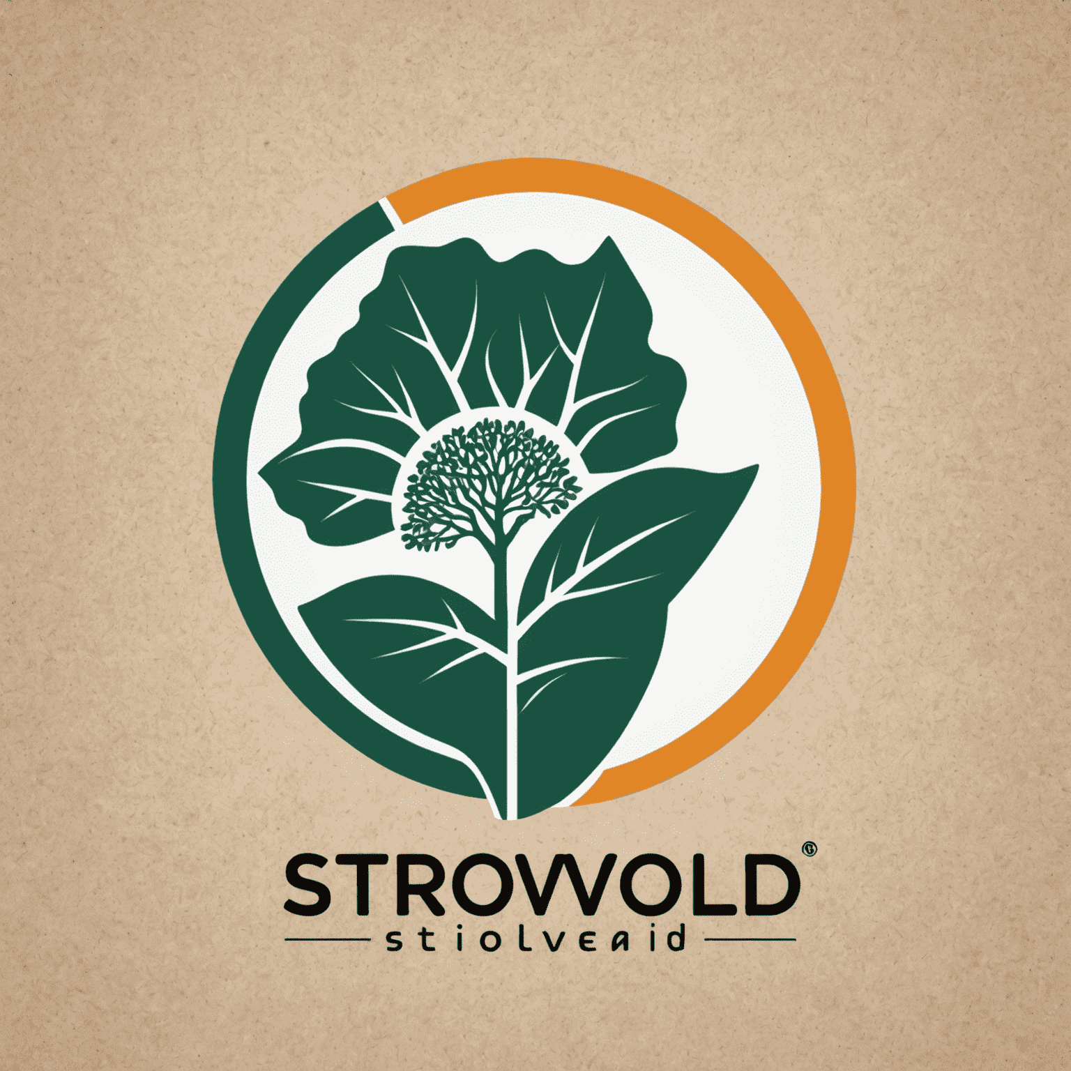 StrVolJd logo - A modern, stylized representation of social entrepreneurship in South Africa